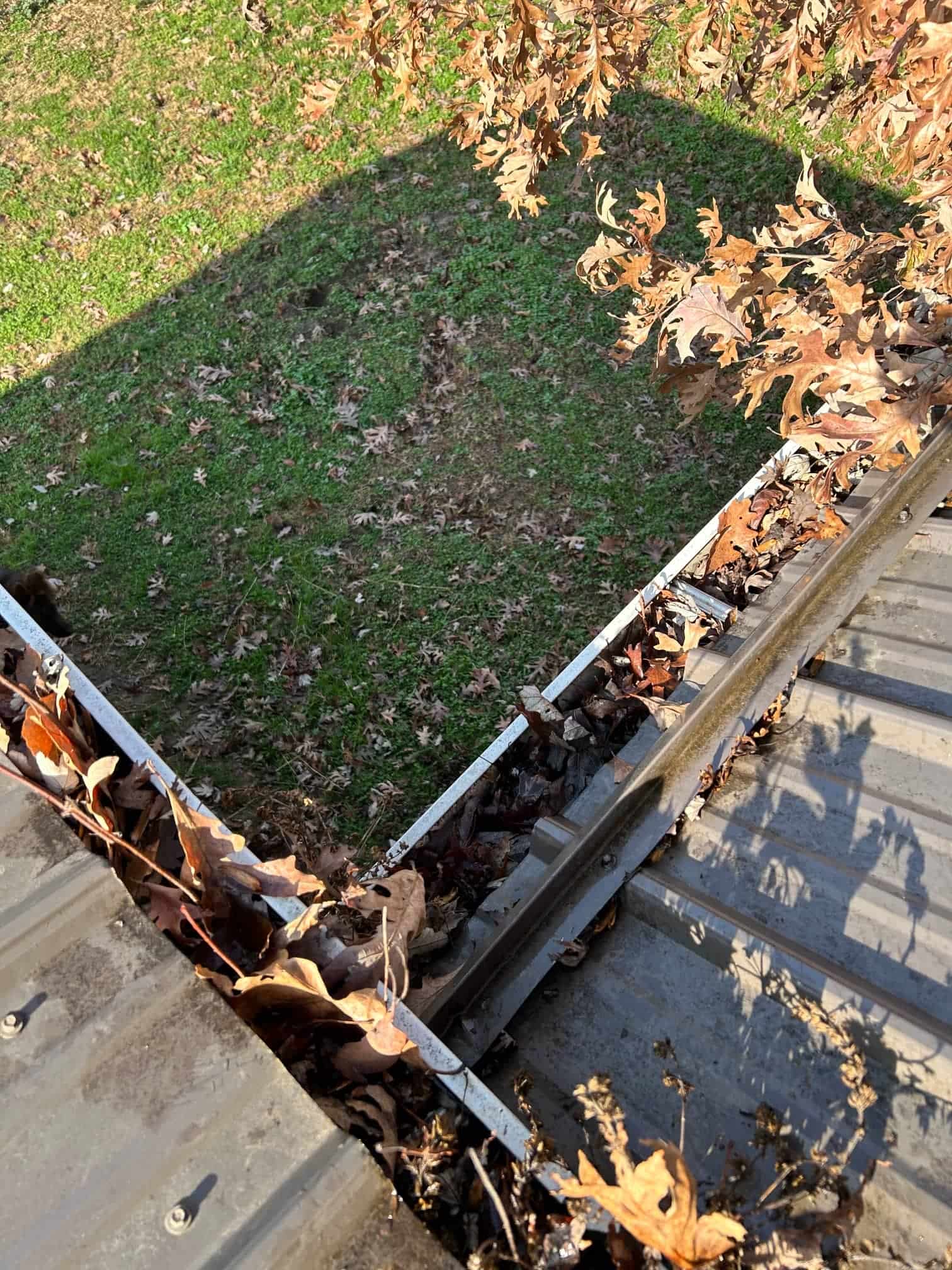Gutters clogged with leaves before cleaning