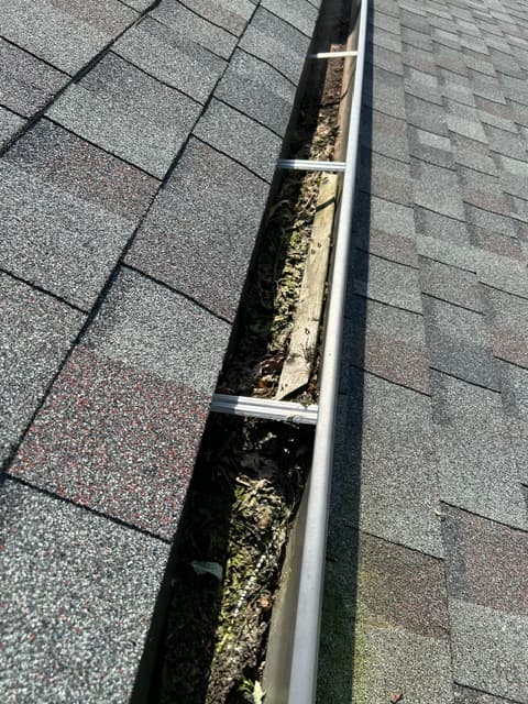 Debris filled gutters before cleaning